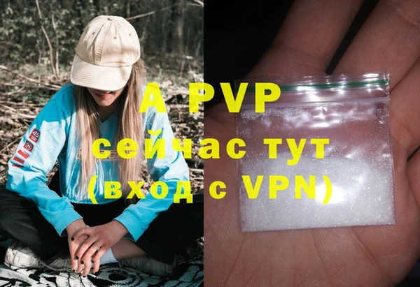 прущие грибы Балабаново