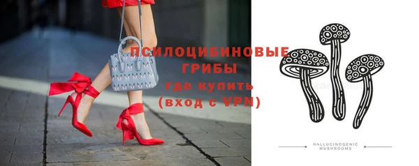 прущие грибы Балабаново