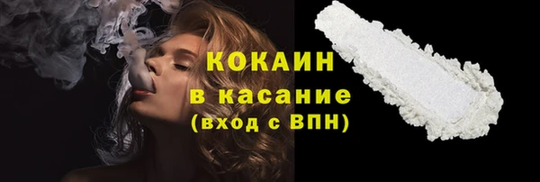 прущие грибы Балабаново
