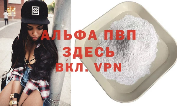 прущие грибы Балабаново